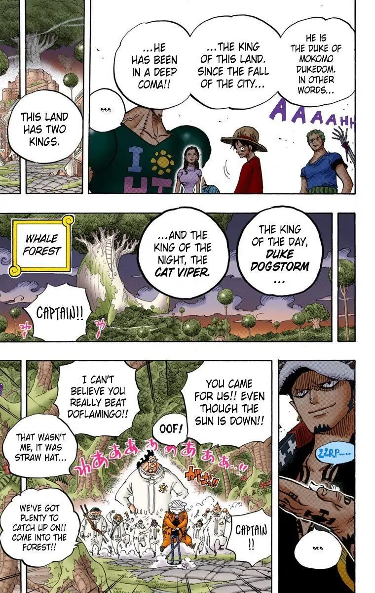 One Piece Digital Colored Chapter 807 image 20
